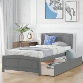 Twin size Platform Bed with Two Drawers (Color: Gray)